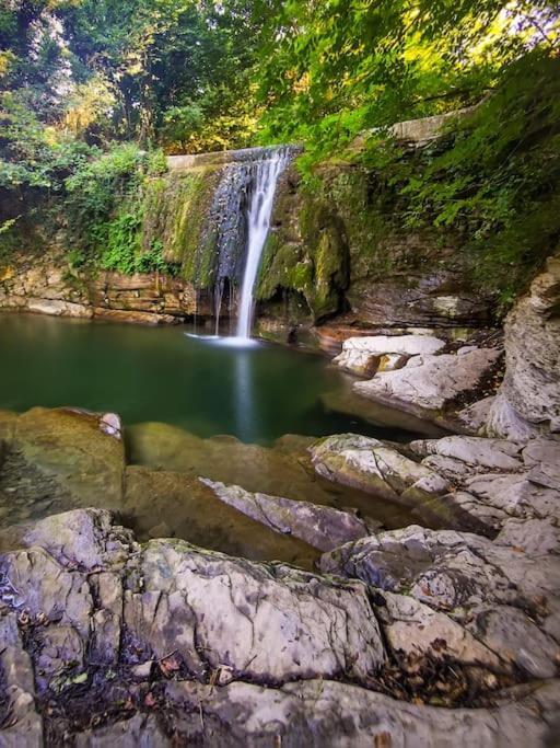 Welcome In Toscana Polcanto ภายนอก รูปภาพ